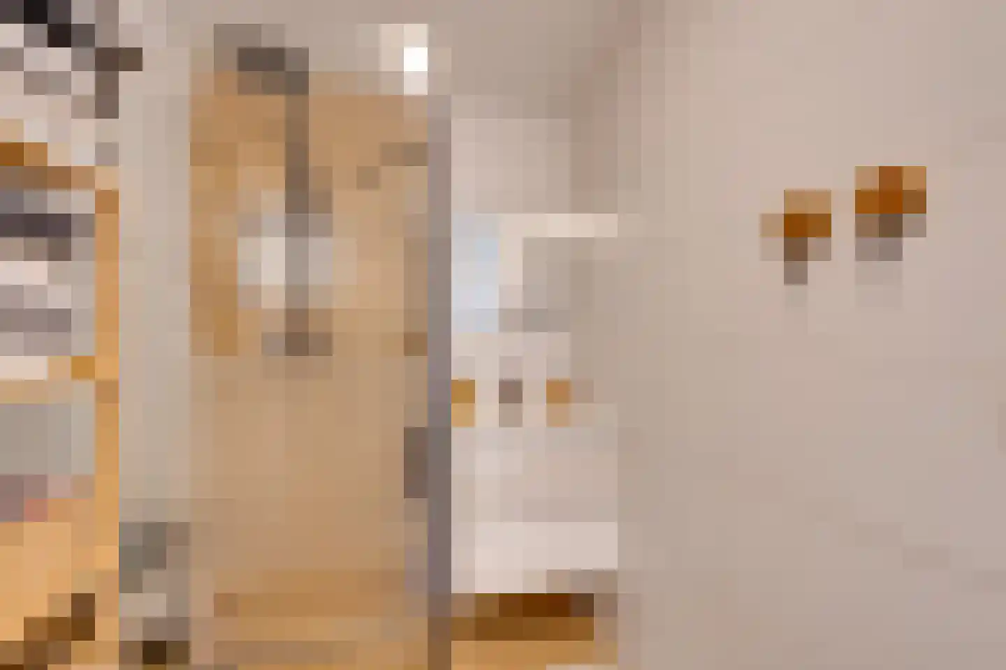 Nieuwe Laan 117 Amsterdam thumbnail 41