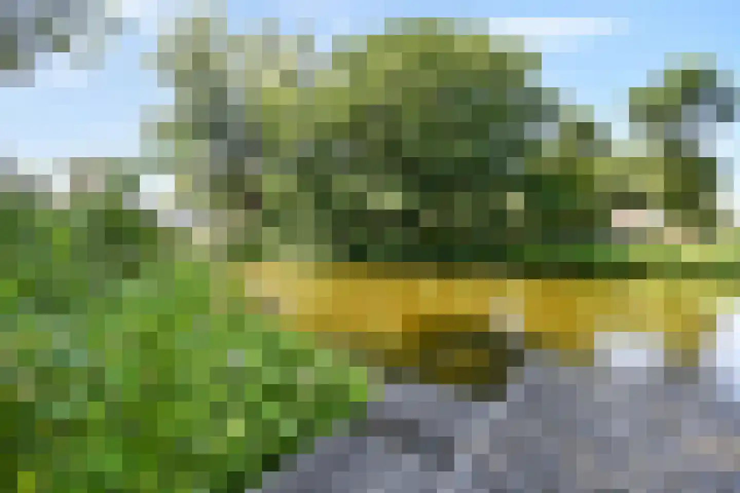 Nieuwe Laan 129 Amsterdam thumbnail 28