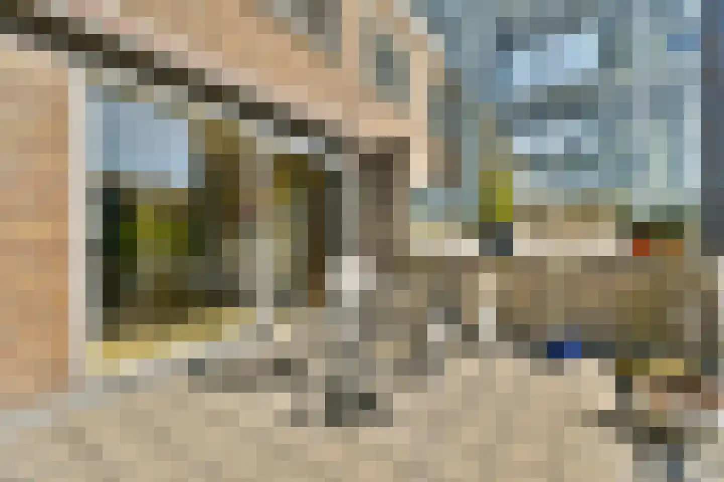 Nieuwe Laan 129 Amsterdam thumbnail 6