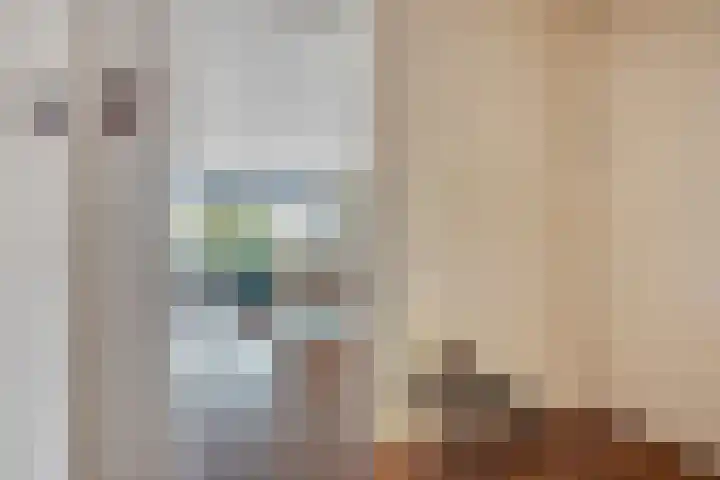 Nieuwe Laan 151 Capelle aan den IJssel thumbnail 11
