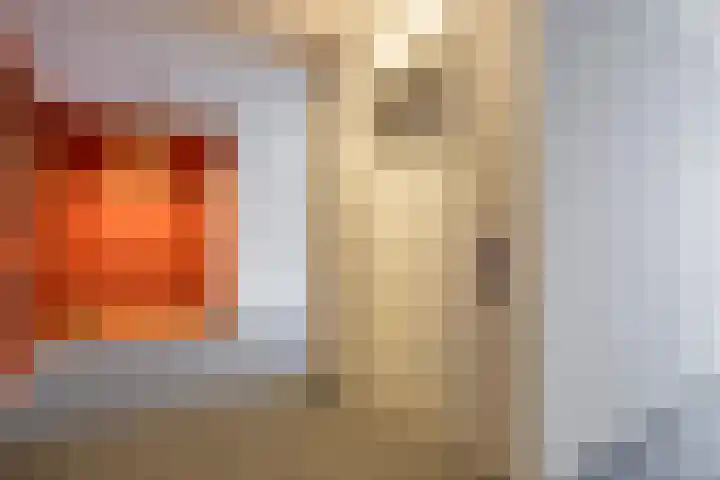 Nieuwe Laan 151 Capelle aan den IJssel thumbnail 9