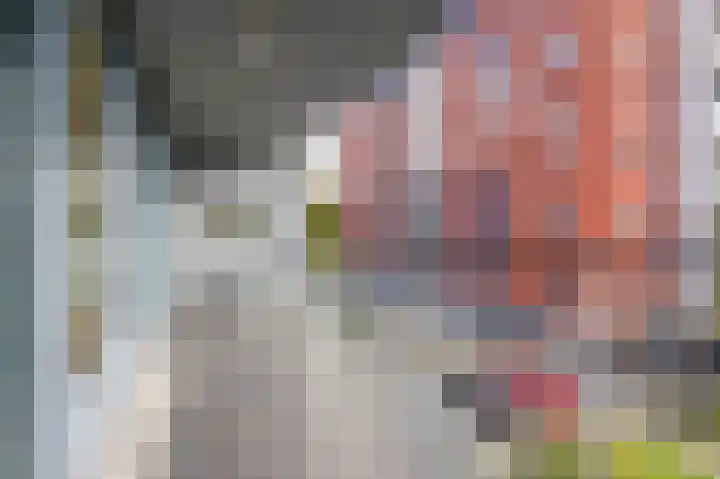 Nieuwe Laan 155 Capelle aan den IJssel thumbnail 19