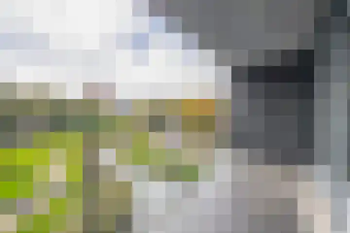 Nieuwe Laan 155 Capelle aan den IJssel thumbnail 20