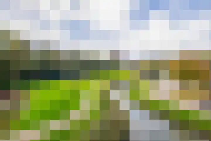 Nieuwe Laan 155 Capelle aan den IJssel thumbnail 21