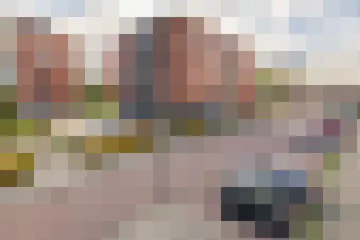 Nieuwe Laan 155 Capelle aan den IJssel thumbnail 34
