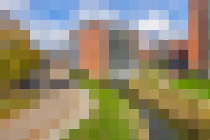 Nieuwe Laan 155 Capelle aan den IJssel thumbnail 37