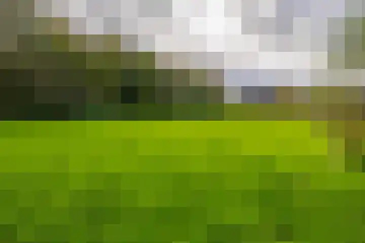 Nieuwe Laan 155 Capelle aan den IJssel thumbnail 39