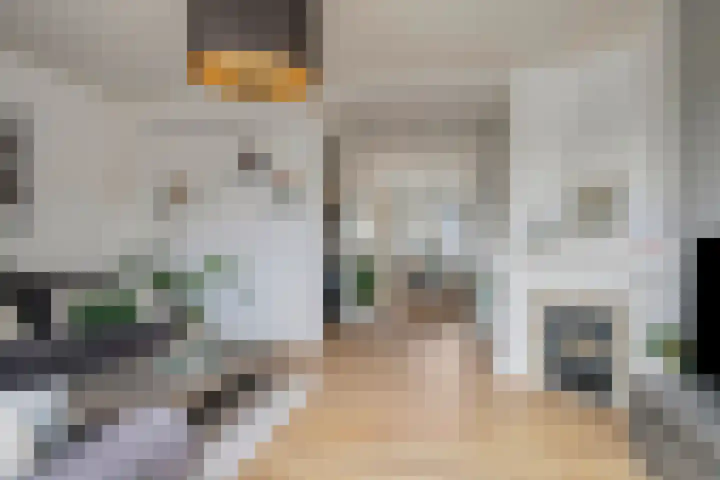 Nieuwe Laan 193 Amsterdam thumbnail 11