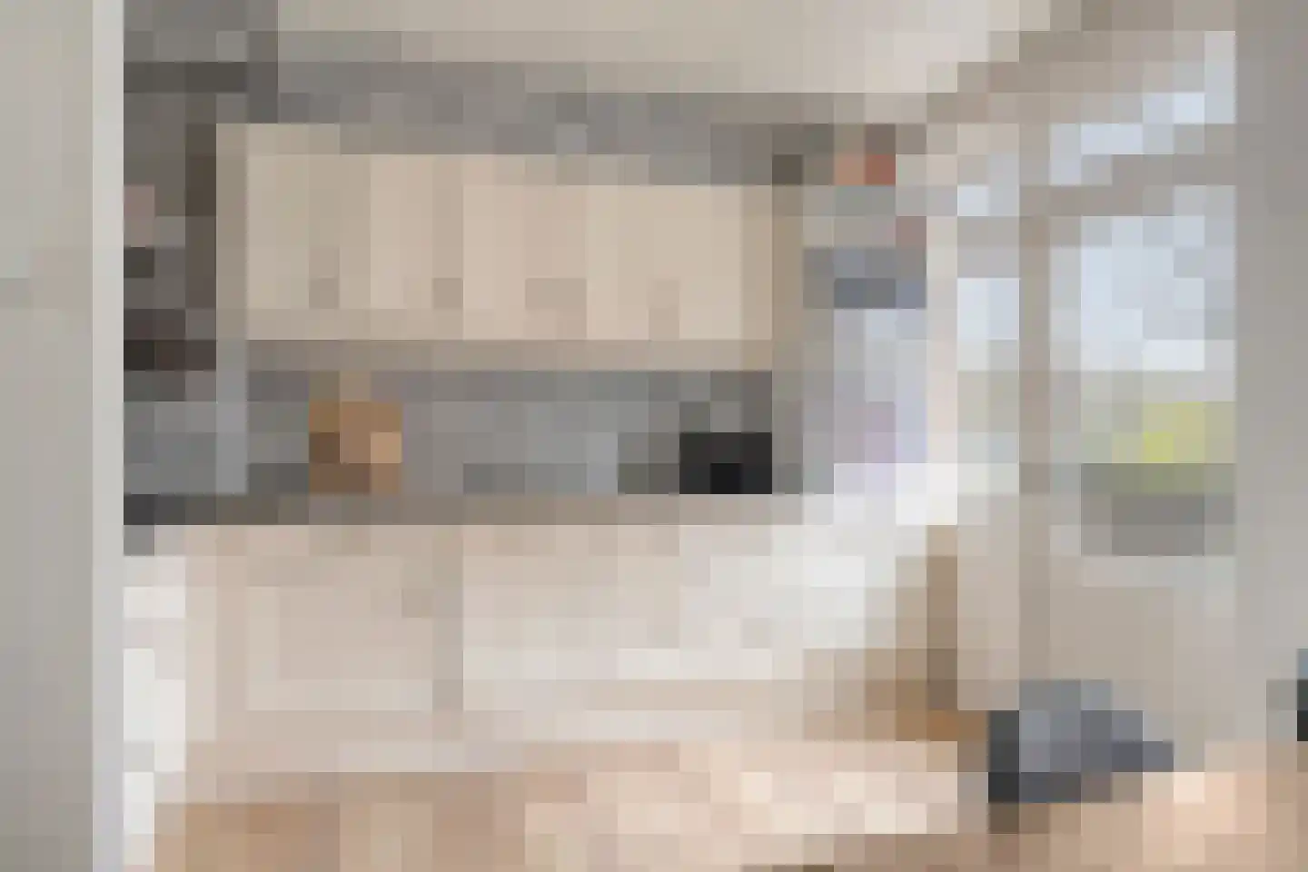 Nieuwe Laan 193 Amsterdam thumbnail 16