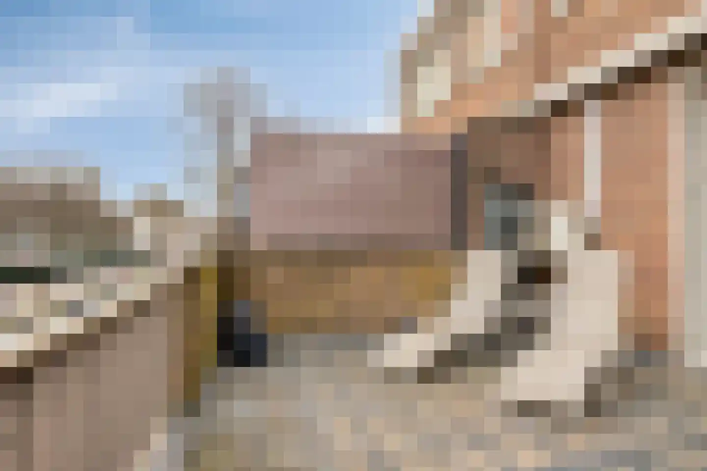 Nieuwe Laan 193 Amsterdam thumbnail 19