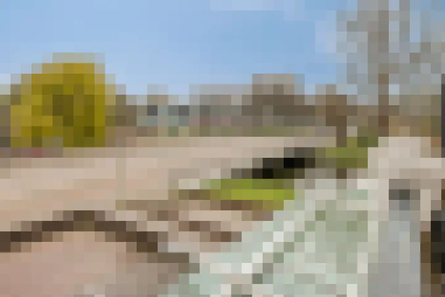 Nieuwe Laan 193 Amsterdam thumbnail 21