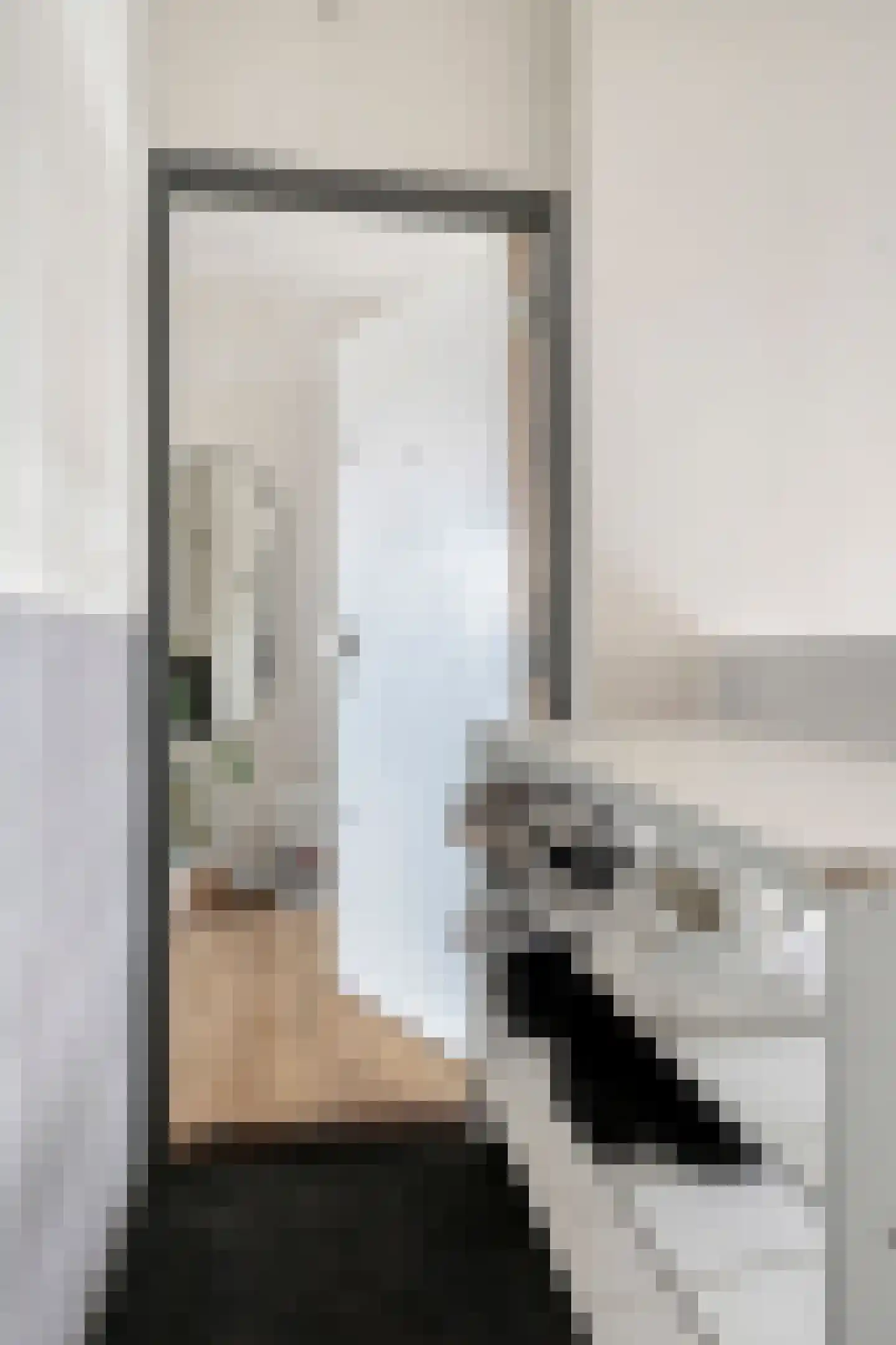 Nieuwe Laan 193 Amsterdam thumbnail 6