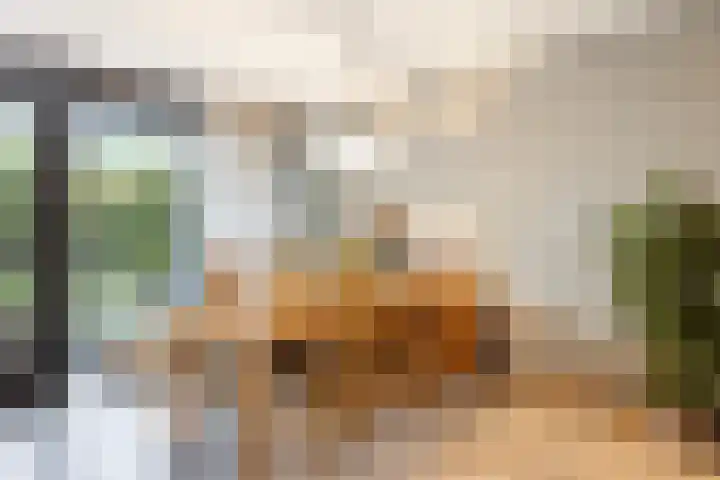 Nieuwe Laan 25 Capelle aan den IJssel thumbnail 14
