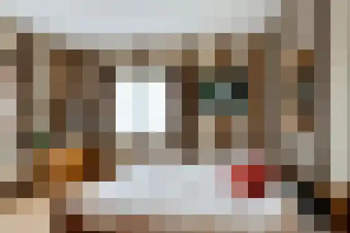 Nieuwe Laan 25 Capelle aan den IJssel thumbnail 19