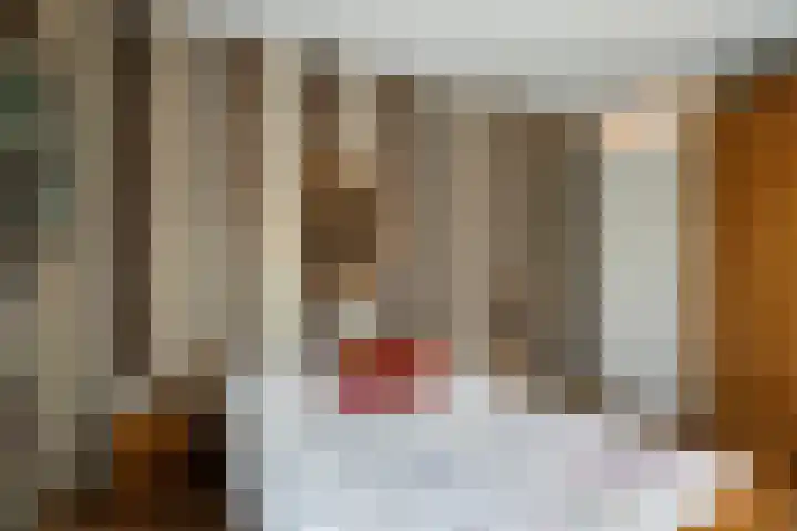 Nieuwe Laan 25 Capelle aan den IJssel thumbnail 20