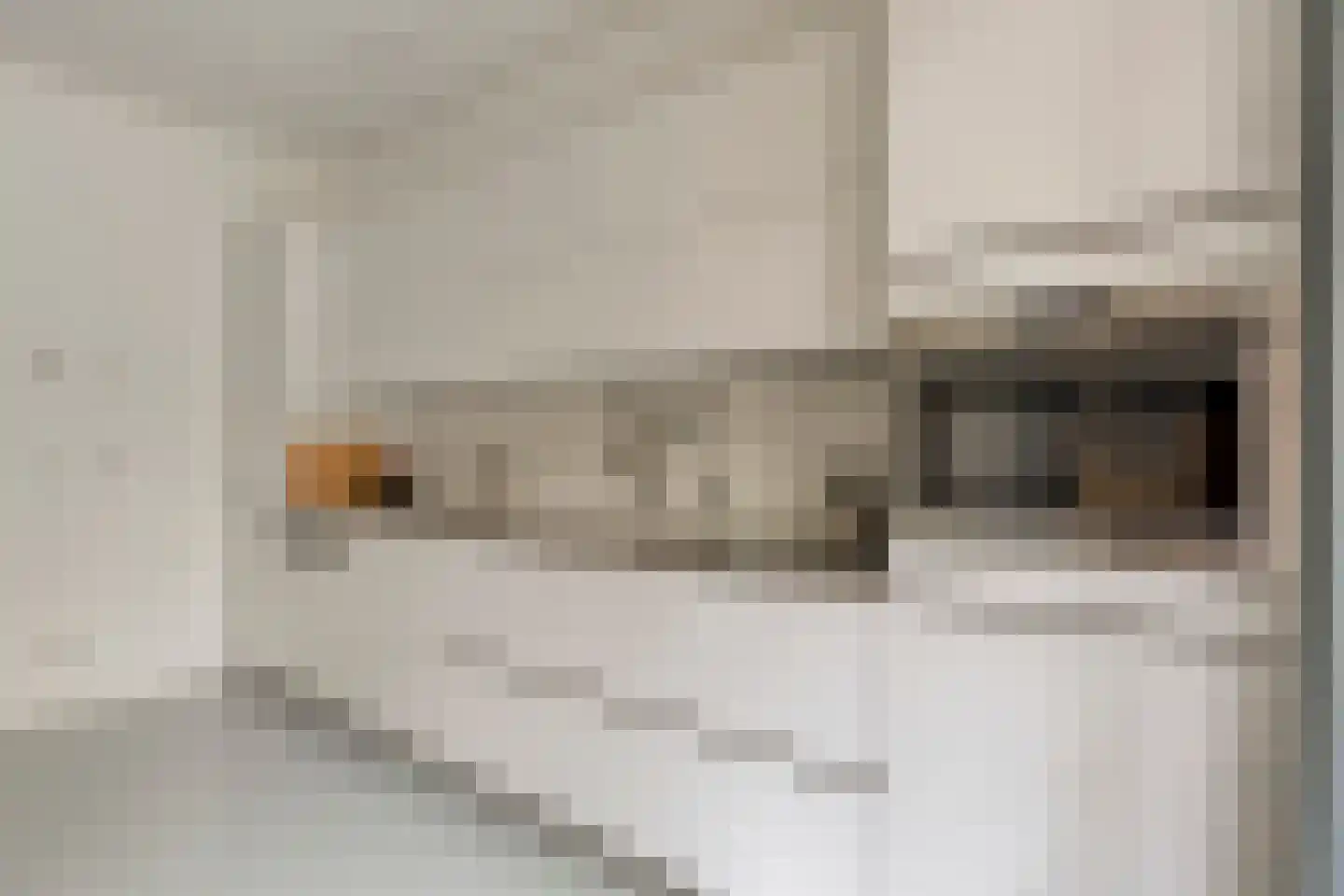 Nieuwe Laan 4 B Amsterdam thumbnail 16
