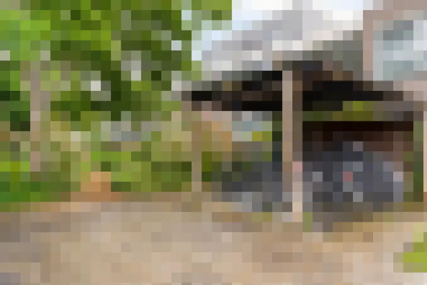 Nieuwe Laan 4 B Amsterdam thumbnail 22