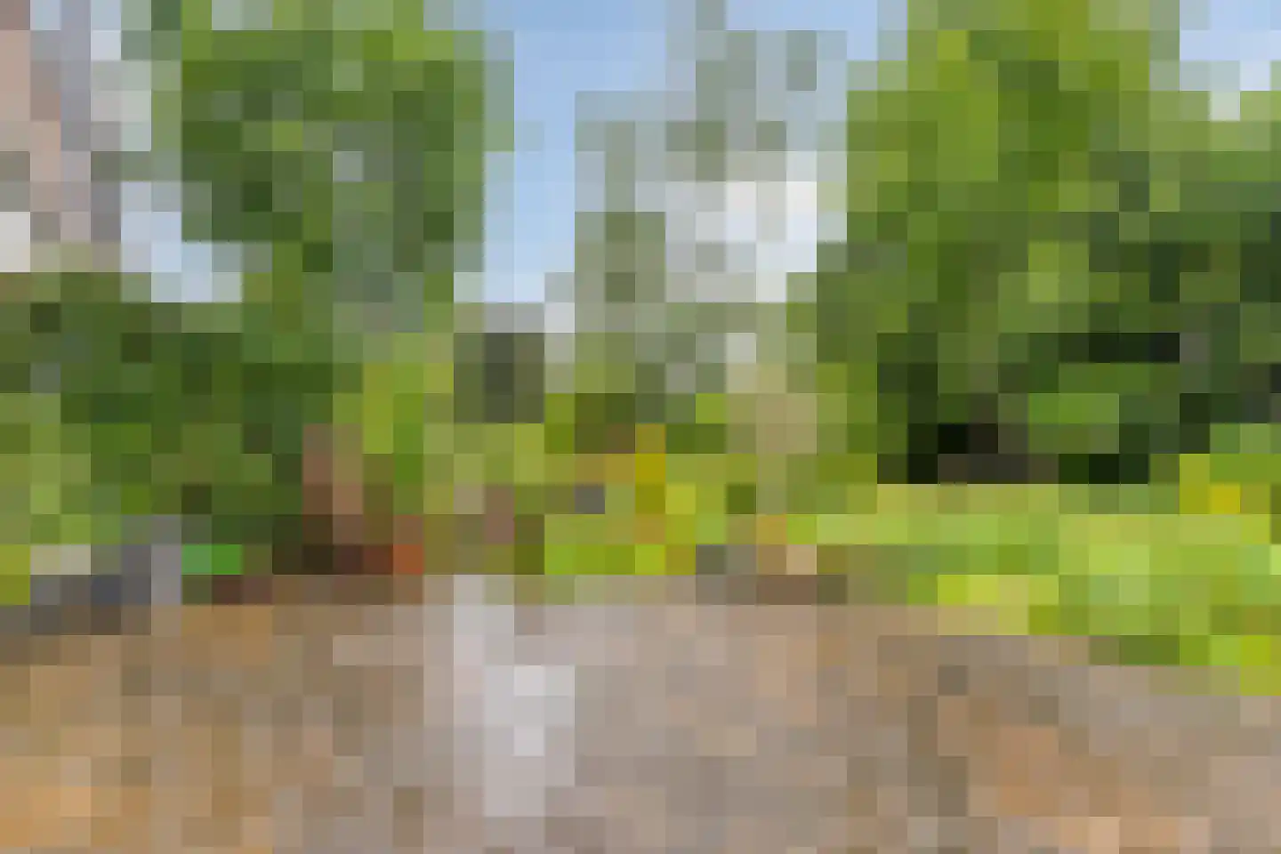 Nieuwe Laan 4 B Amsterdam thumbnail 4