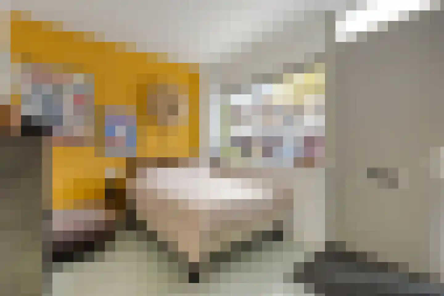 Nieuwe Laan 4 B Amsterdam thumbnail 7