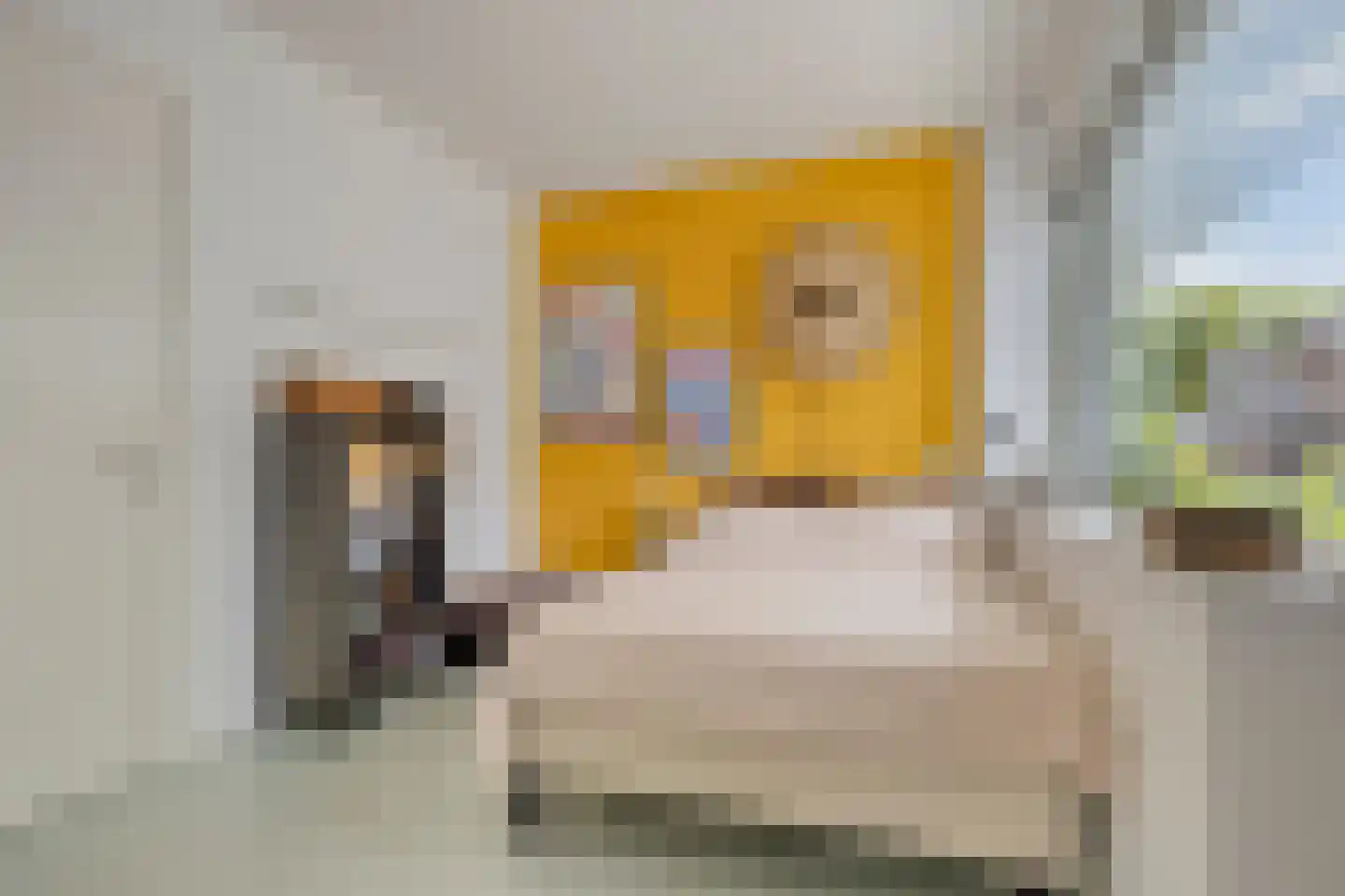 Nieuwe Laan 4 B Amsterdam thumbnail 9
