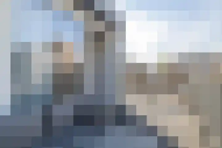 Nieuwe Laan 6 A Amsterdam thumbnail 21