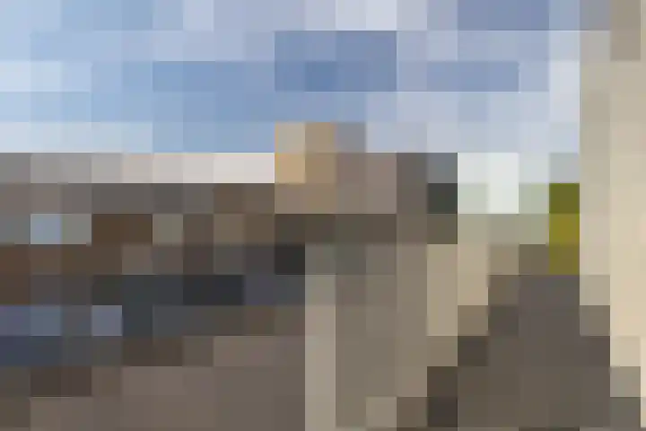 Nieuwe Laan 6 A Amsterdam thumbnail 22