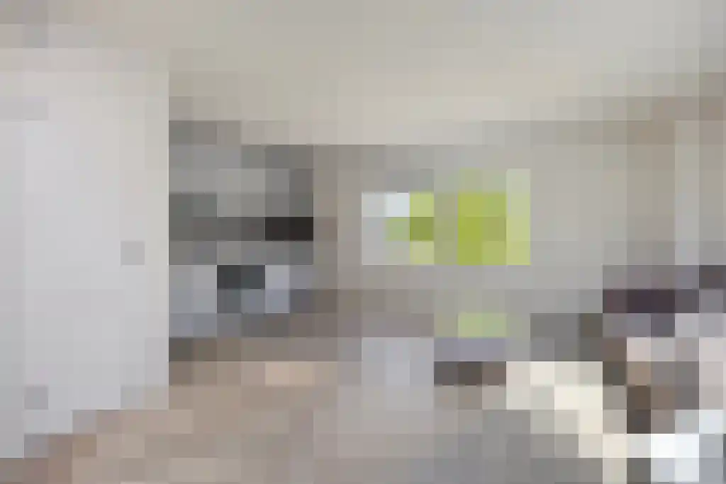 Nieuwe Laan 91 Amsterdam thumbnail 7
