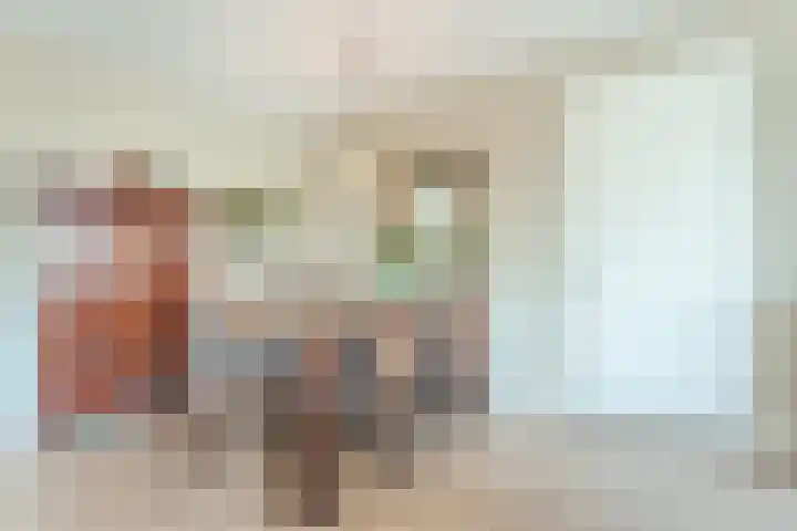 Nieuwe Laan 91 Capelle aan den IJssel thumbnail 16