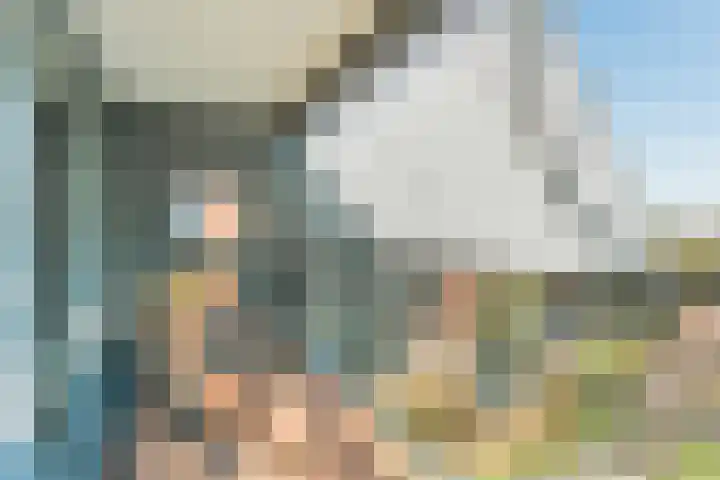 Nieuwe Laan 91 Capelle aan den IJssel thumbnail 34