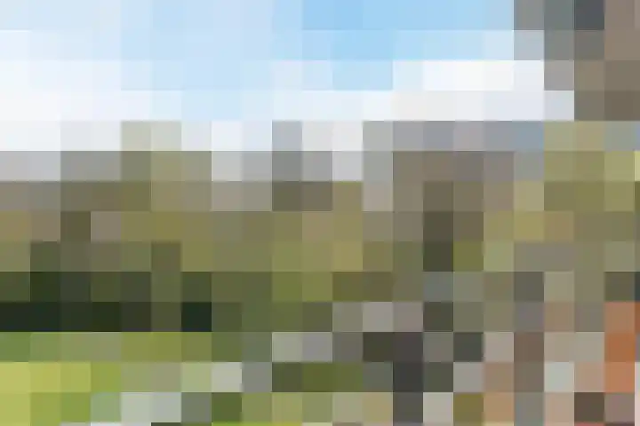 Nieuwe Laan 91 Capelle aan den IJssel thumbnail 37