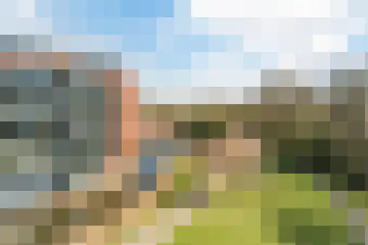 Nieuwe Laan 91 Capelle aan den IJssel thumbnail 38