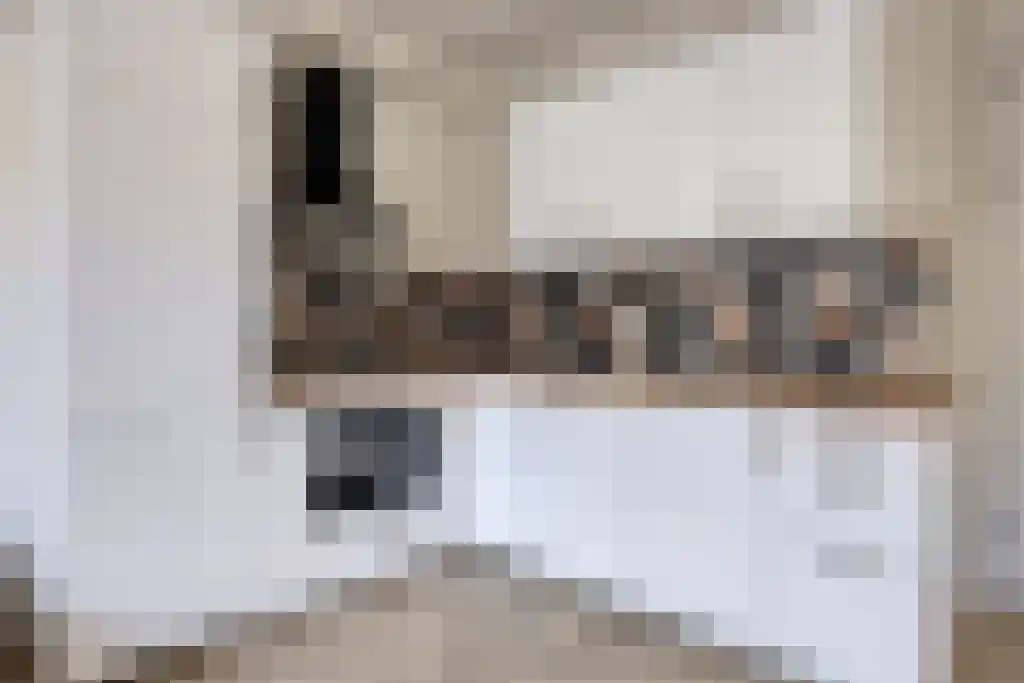Nieuwe Laan 95 Amsterdam thumbnail 4