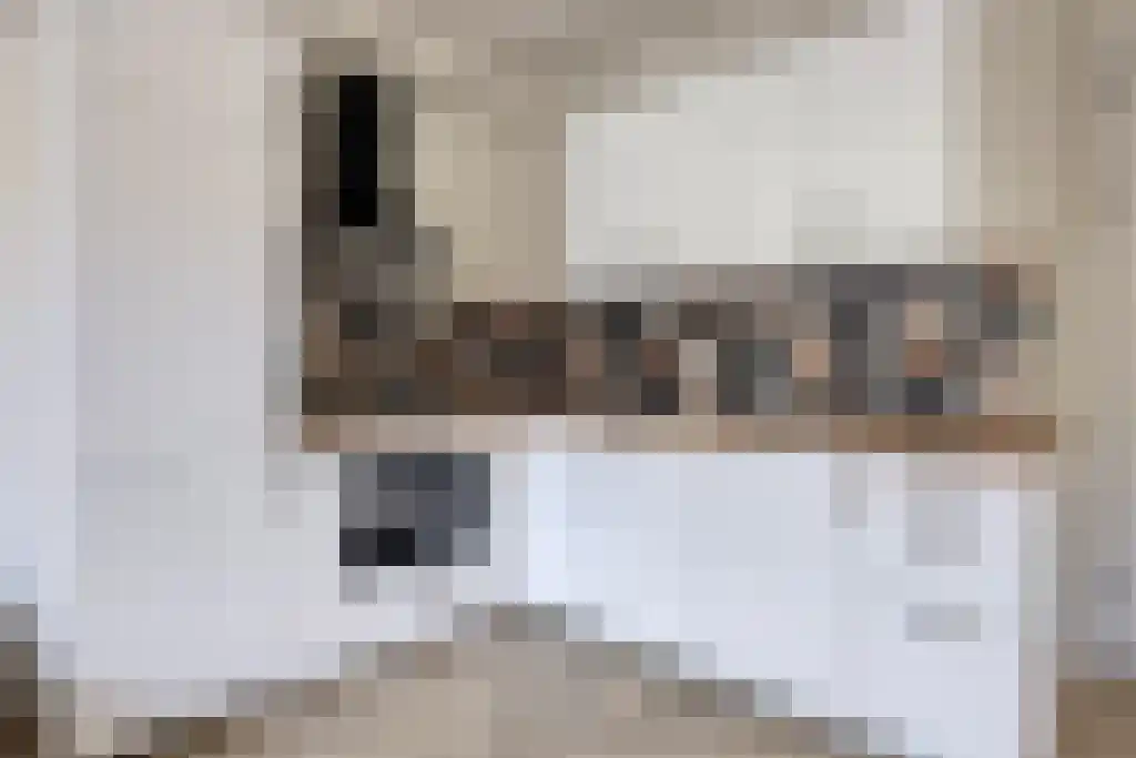 Nieuwe Laan 95 Amsterdam thumbnail 4