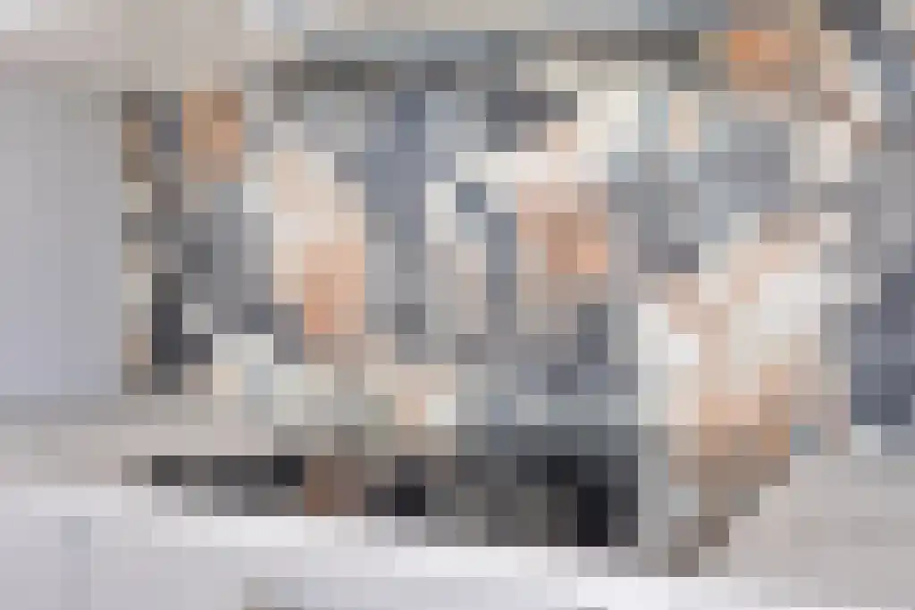 Nieuwe Laan 95 Amsterdam thumbnail 5