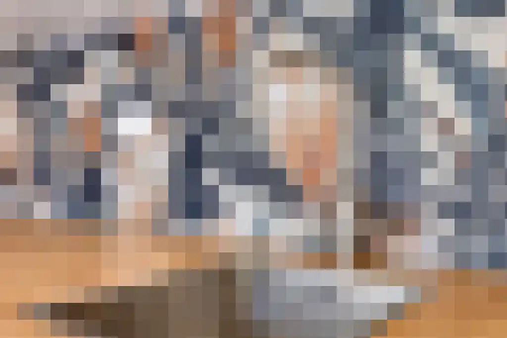 Nieuwe Laan 95 Amsterdam thumbnail 5