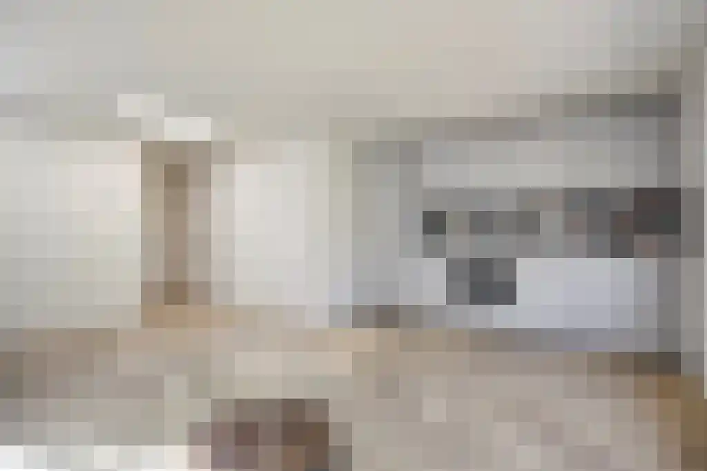Nieuwe Laan 95 Amsterdam thumbnail 6