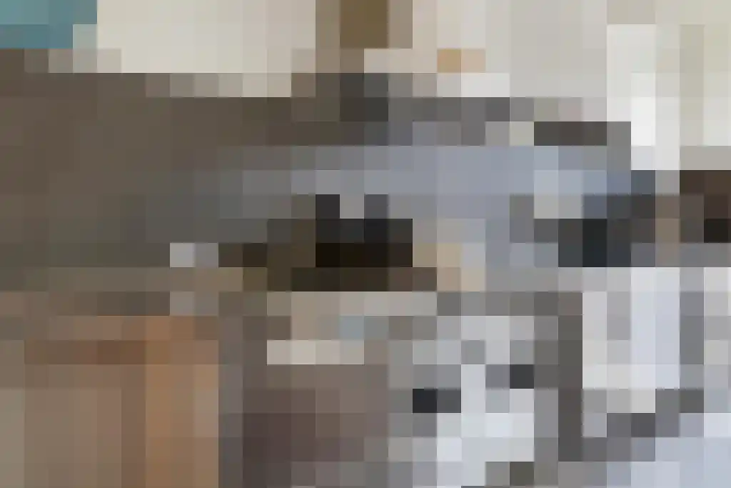 Nieuwe Laanstraat 6 A Hilversum thumbnail 13