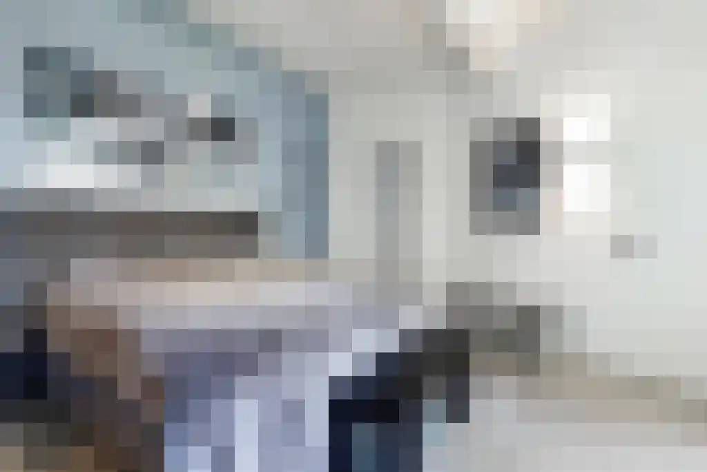 Nieuwe Laanstraat 6 A Hilversum thumbnail 16