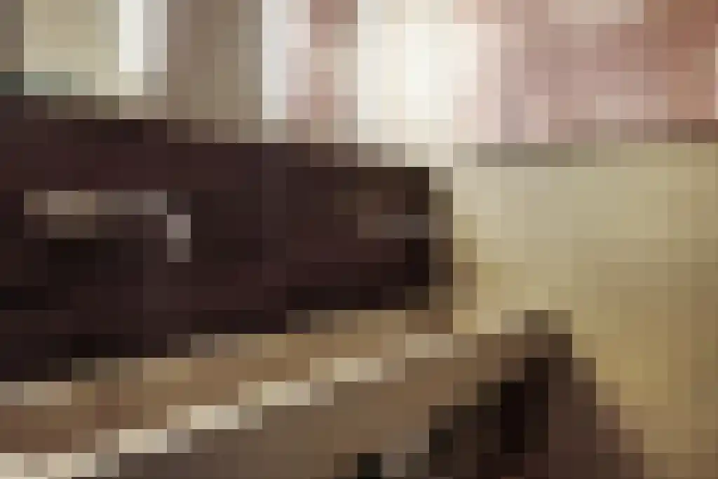 Nieuwe Laanstraat 6 A Hilversum thumbnail 21