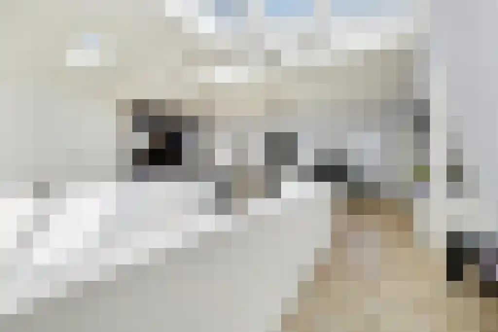 Nieuwe Laanstraat 6 A Hilversum thumbnail 26
