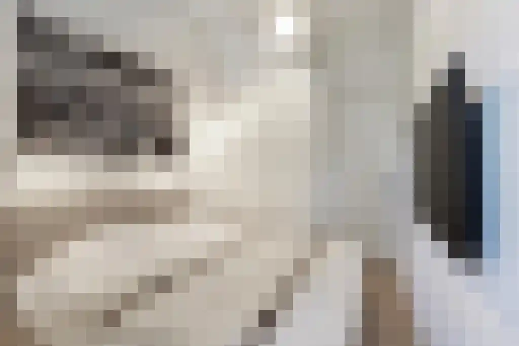 Nieuwe Laanstraat 6 A Hilversum thumbnail 29
