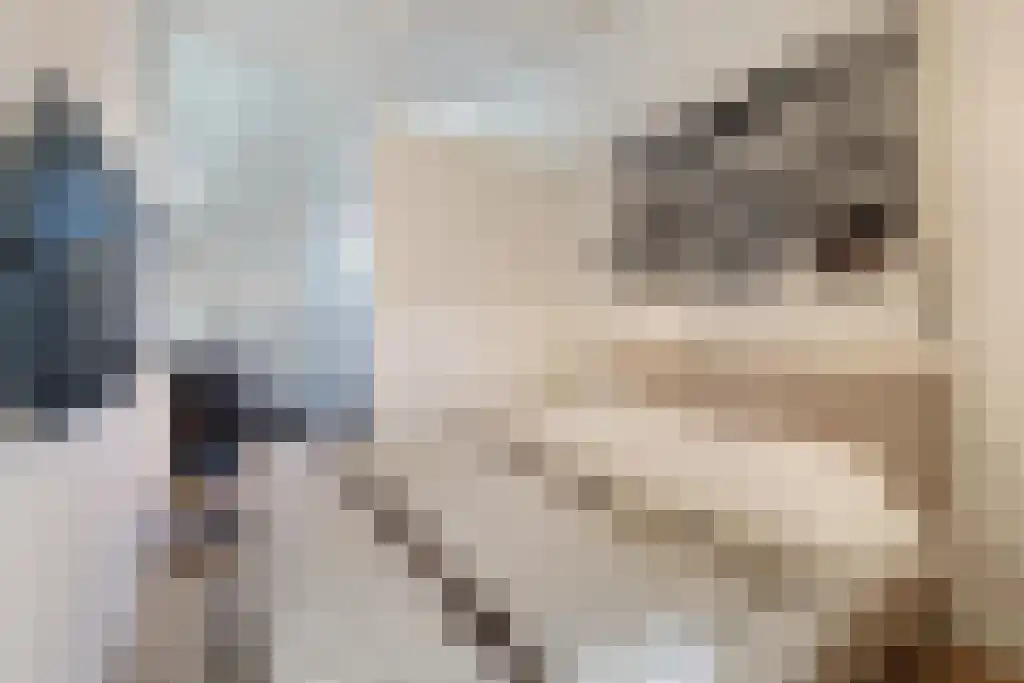 Nieuwe Laanstraat 6 A Hilversum thumbnail 30