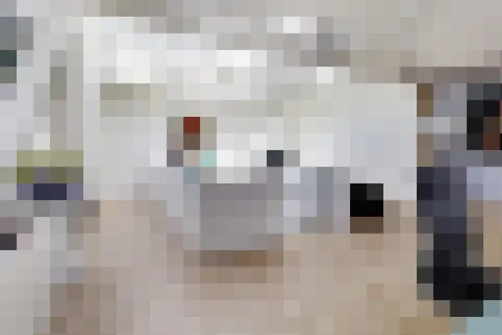 Nieuwe Laanstraat 6 A Hilversum thumbnail 7