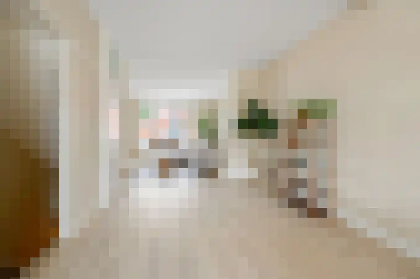 Nieuwe Laantjes 111 Den Haag thumbnail 12