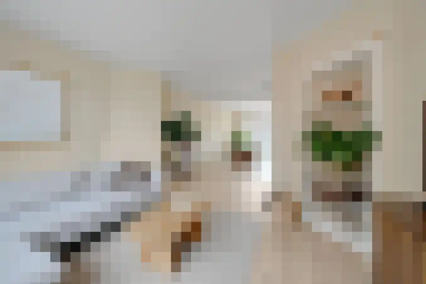 Nieuwe Laantjes 111 Den Haag thumbnail 15