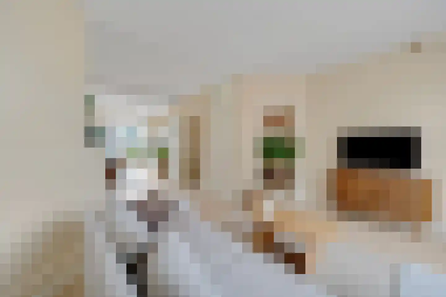 Nieuwe Laantjes 111 Den Haag thumbnail 16