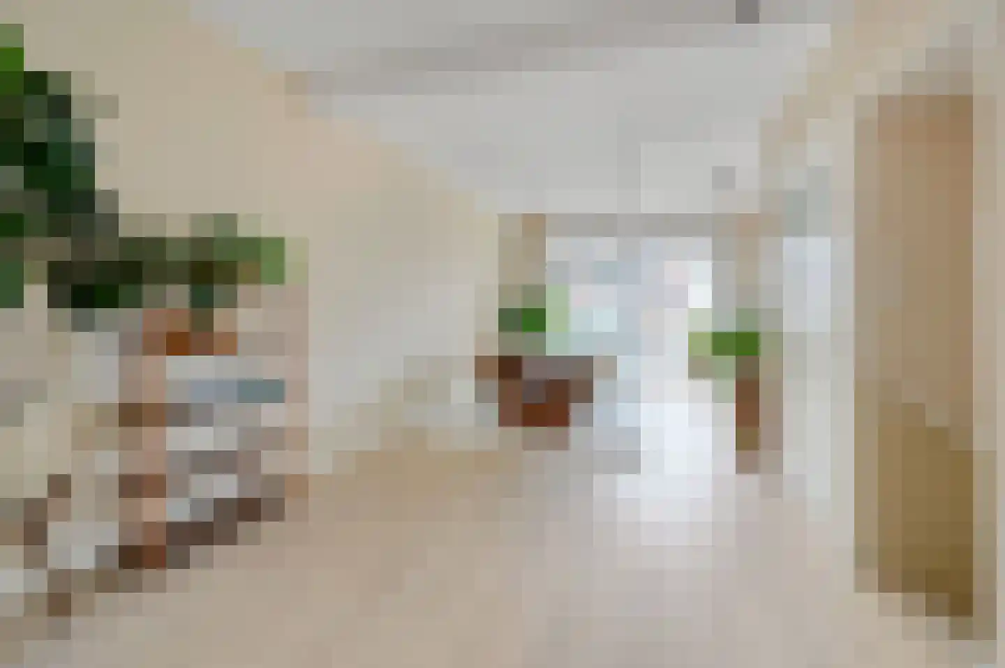 Nieuwe Laantjes 111 Den Haag thumbnail 19