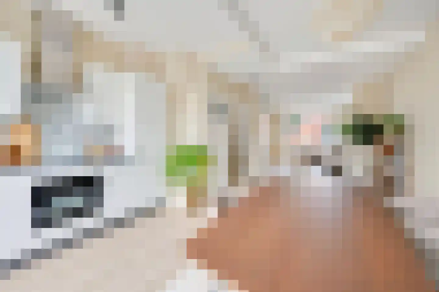 Nieuwe Laantjes 111 Den Haag thumbnail 22