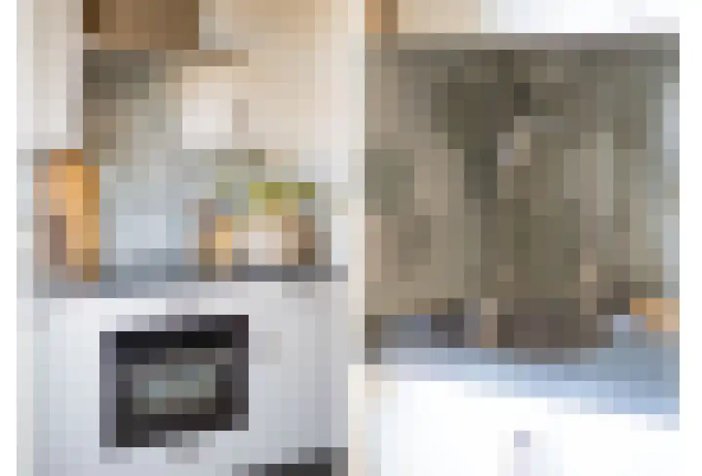 Nieuwe Laantjes 111 Den Haag thumbnail 24