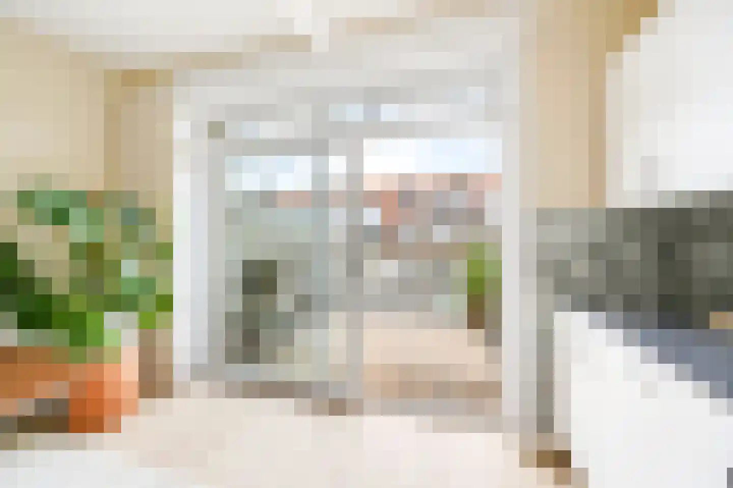 Nieuwe Laantjes 111 Den Haag thumbnail 25